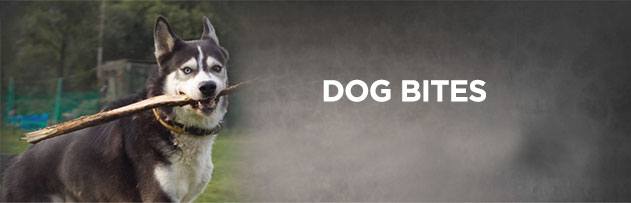 dog_bites_AOP